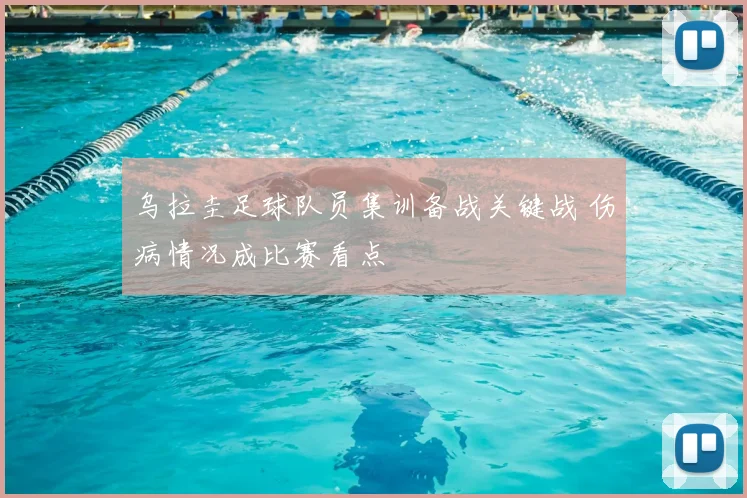 乌拉圭足球队员集训备战关键战 伤病情况成比赛看点