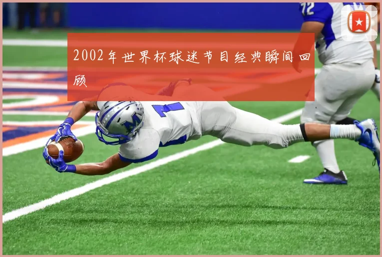 2002年世界杯球迷节目经典瞬间回顾
