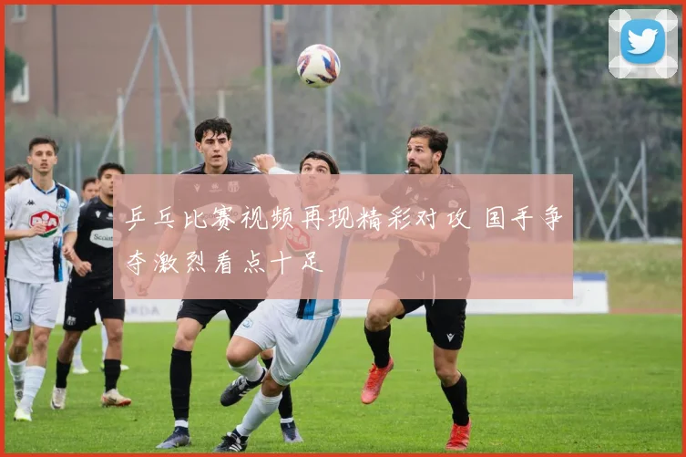 乒乓比赛视频再现精彩对攻 国手争夺激烈看点十足