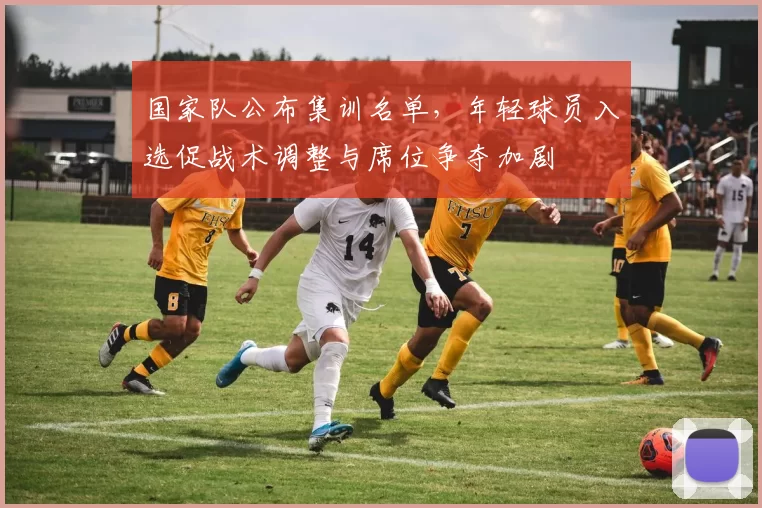 国家队公布集训名单，年轻球员入选促战术调整与席位争夺加剧