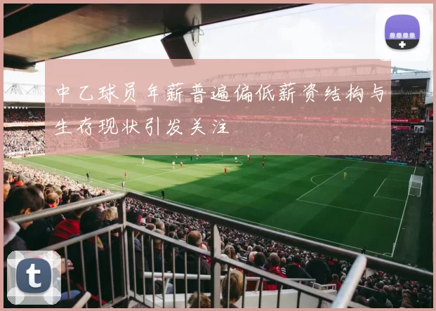 中乙球员年薪普遍偏低薪资结构与生存现状引发关注