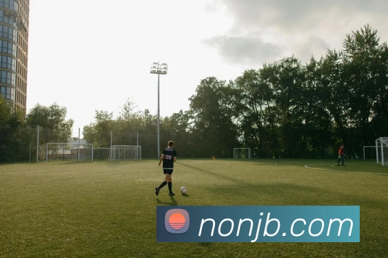 星空网官网免费入口发展历程